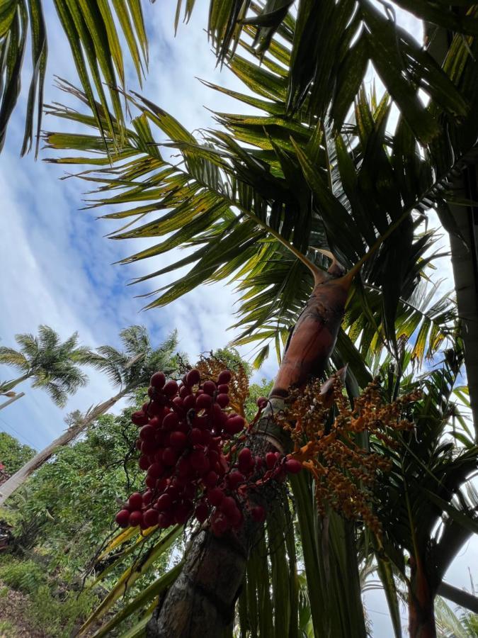 ホルアロア Hawaii Getawayヴィラ エクステリア 写真